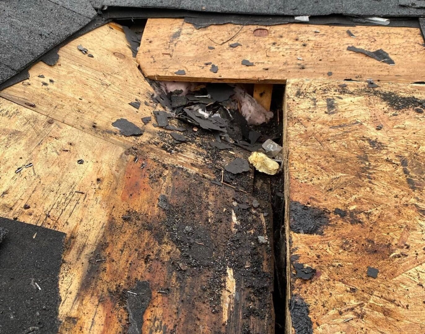 A rotten roof that has been damaged.
